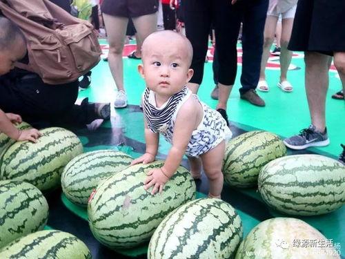 吃瓜大全免费观看